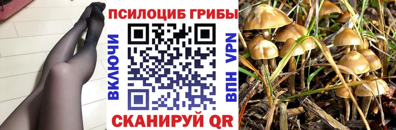 гидра рабочий сайт  продажа наркотиков  Бавлы  даркнет как зайти  Галлюциногенные грибы MAGIC MUSHROOMS 